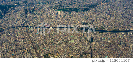 東京都心の風景と東京スカイツリー　空撮 118031107