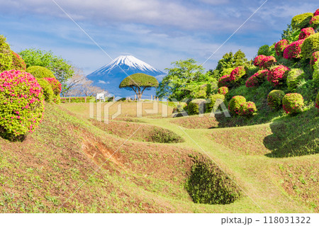 【静岡県】ツツジ咲く山中城址公園、後方に富士山 118031322
