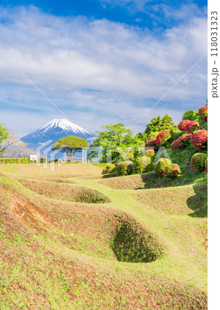 【静岡県】ツツジ咲く山中城址公園、後方に富士山 118031323