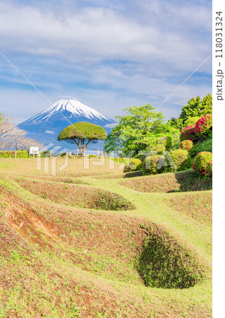 【静岡県】ツツジ咲く山中城址公園、後方に富士山 118031324