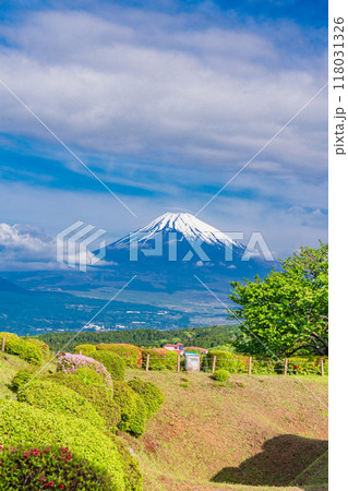 【静岡県】ツツジ咲く山中城址公園、後方に富士山 118031326