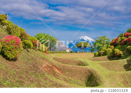 【静岡県】ツツジ咲く山中城址公園、後方に富士山 118031329