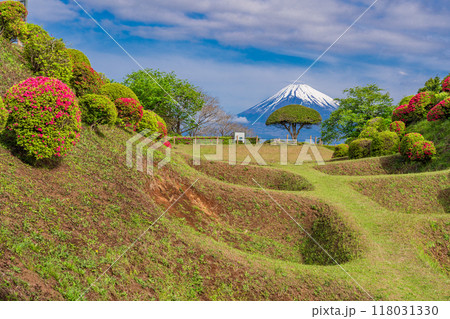 【静岡県】ツツジ咲く山中城址公園、後方に富士山 【静岡県】ツツジ咲く山中城址公園、後方に富士山 118031330
