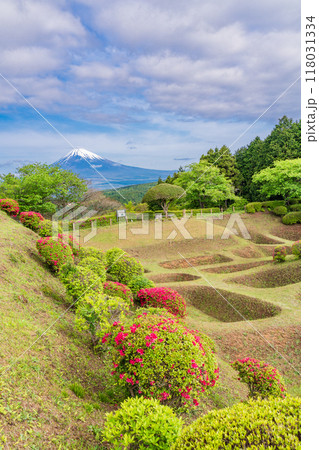 【静岡県】ツツジ咲く山中城址公園、後方に富士山 118031334