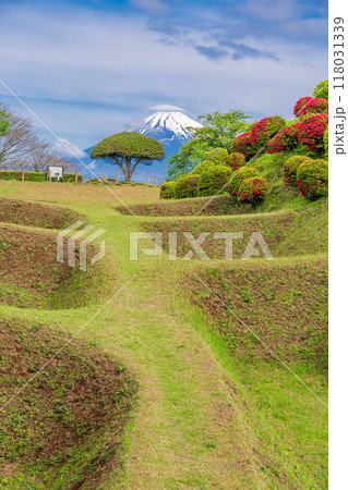 【静岡県】ツツジ咲く山中城址公園、後方に富士山 118031339