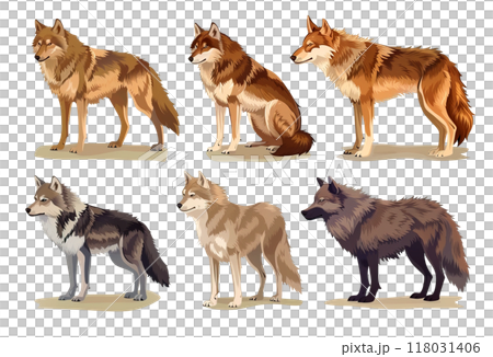 Detailed illustration showcasing various wolf species or breeds, highlighting their distinct coat colors and postures. Wildlife Animals. 118031406