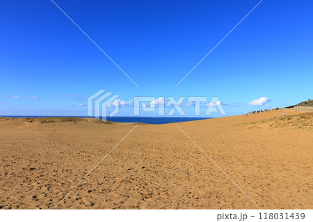 鳥取砂丘 砂の美しい風景 《鳥取》 鳥取砂丘 砂の美しい風景 《鳥取》 118031439