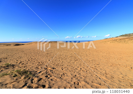 鳥取砂丘 砂の美しい風景 《鳥取》 鳥取砂丘 砂の美しい風景 《鳥取》 118031440