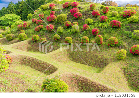 【静岡県】ツツジが咲いた、山中城址公園の障子堀 118031559