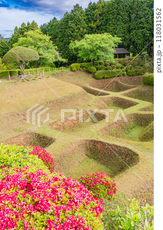 【静岡県】ツツジが咲いた、山中城址公園の障子堀 118031562