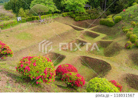 【静岡県】ツツジが咲いた、山中城址公園の障子堀 118031567