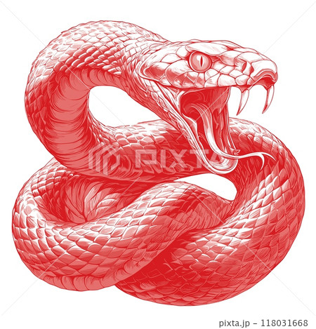 snake. predator tattoo engraving linocut, attack assault red monochrome drawing vector illustration snake. predator tattoo engraving linocut, attack assault red monochrome drawing vector illustration 118031668