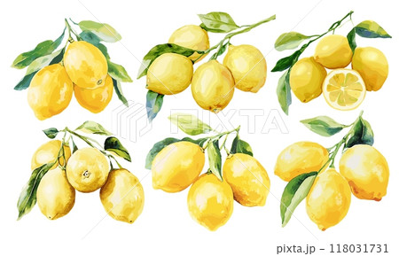 lemon watercolor. citrus art, fruit tropical drawing yellow branch food vector illustration set 118031731