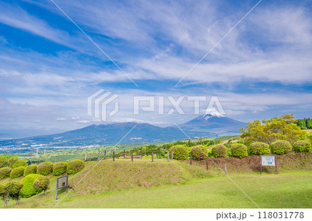 【静岡県】ツツジ咲く山中城址公園、後方に富士山 【静岡県】ツツジ咲く山中城址公園、後方に富士山 118031778