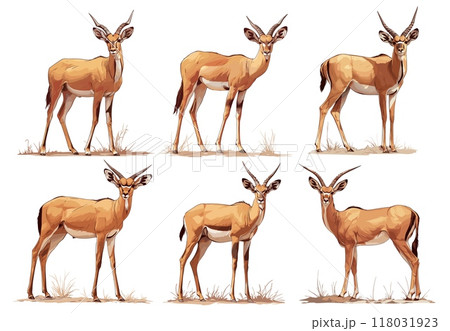 antelope. gazelle, africa animals, savannah mammal horns hooves wildlife safari fauna vector illustration set 118031923