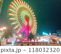 ネオンがともる観覧車 118032320