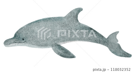 絵本風のイルカの手描きのイラスト 118032352