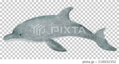 絵本風のイルカの手描きのイラスト 118032352