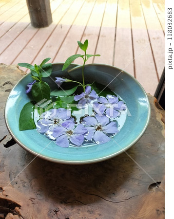 テーブルの上に置かれた水花　ツルニチニチソウ 118032683