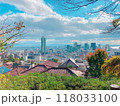 神戸の高台から眺める住宅街 118033100