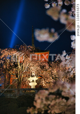 清水寺夜間特別拝観2023年桜の季節 118033873