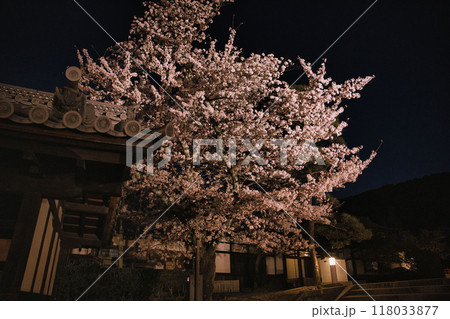 清水寺夜間特別拝観2023年桜の季節 118033877