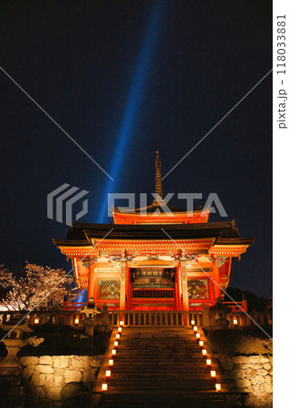 清水寺夜間特別拝観2023年桜の季節 118033881