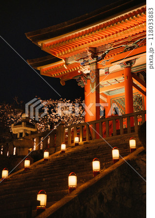 清水寺夜間特別拝観2023年桜の季節 118033883