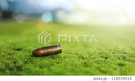 Spent bullet casing lying on the green ground with blur background. Concepts of criminal investigation and shooting sports Spent bullet casing lying on the green ground with blur background. Concepts of criminal investigation and shooting sports 118034018