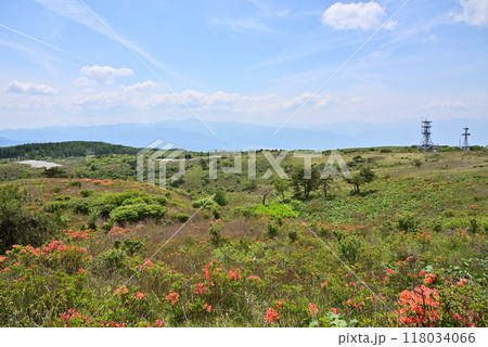 初夏の高ボッチ高原の風景 初夏の高ボッチ高原の風景 118034066