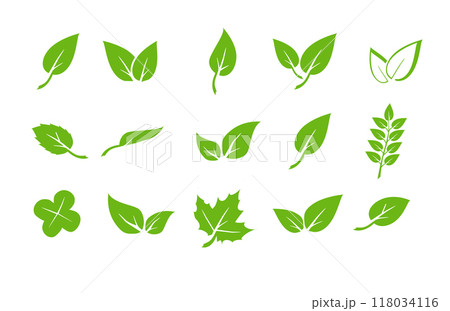 Green leaf icons set. Elements design for natural, eco, vegan. Leaves icon on isolated background. Collection green leaf. Vector Green leaf icons set. Elements design for natural, eco, vegan. Leaves icon on isolated background. Collection green leaf. Vector 118034116