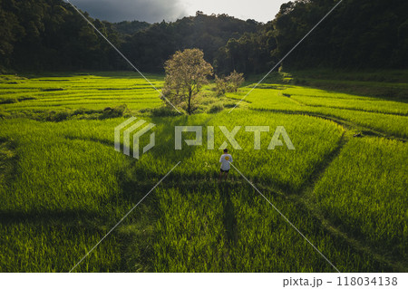 Aerial view on green rice field In the rural forest Aerial view on green rice field In the rural forest 118034138