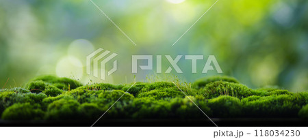 Moss background, green moss on wooden background blur nature Moss background, green moss on wooden background blur nature 118034230
