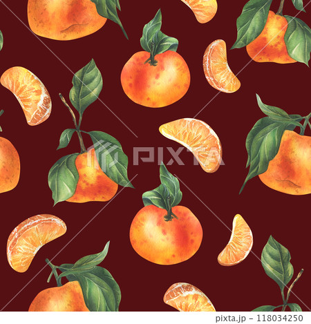 Orange tangerines with green branch and leaves, citrus tropical fruit, whole and slices. Watercolor illustration, hand drawn. Seamless pattern on a burgundy background. Orange tangerines with green branch and leaves, citrus tropical fruit, whole and slices. Watercolor illustration, hand drawn. Seamless pattern on a burgundy background. 118034250
