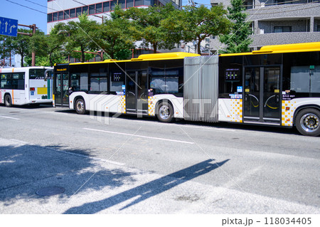 福岡市内を走る連接バスとバス 福岡市内を走る連接バスとバス 118034405
