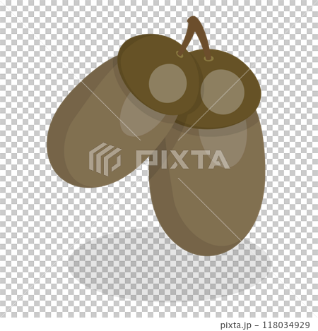 3D Isometric Flat  Set of Acorns And Cones. Item 1 118034929