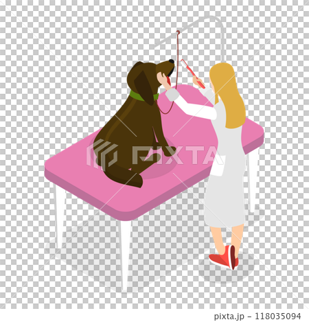 3D Isometric Flat  Illustration of Pet Grooming. Item 4 118035094