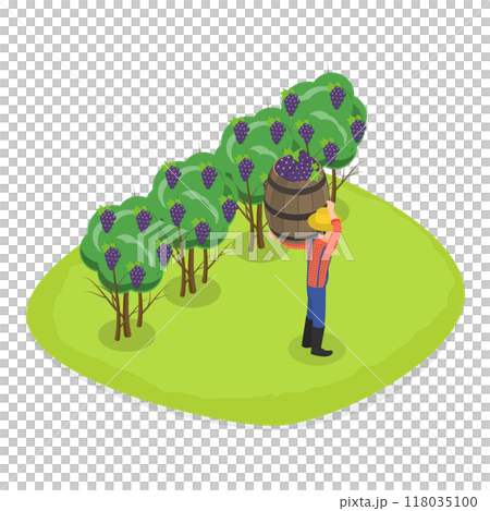3D Isometric Flat  Illustration of Vineyard Harvesting. Item 1 118035100