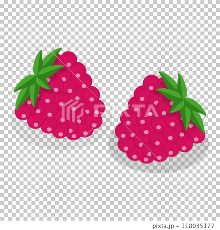 3D Isometric Flat  Set of Medical Herbs And Berries. Item 5 118035177