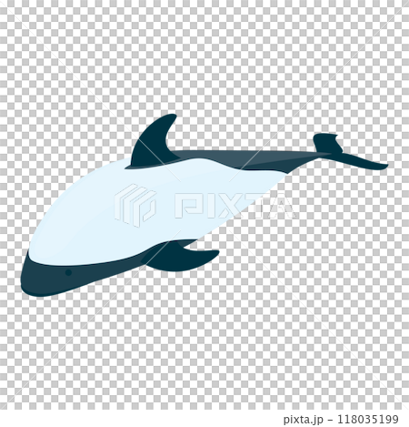 3D Isometric Flat Set of Types Of Dolphins. Item 4 3D Isometric Flat Set of Types Of Dolphins. Item 4 118035199