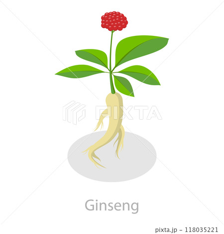 3D Isometric Flat Set of Healing Herbs. Item 3 3D Isometric Flat Set of Healing Herbs. Item 3 118035221