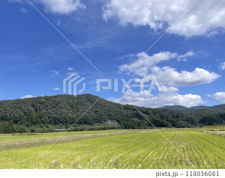 田んぼの向こうに見える山 118036081