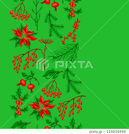 Pattern with winter plants. Merry Christmas and Happy New Year decoration. 118038498