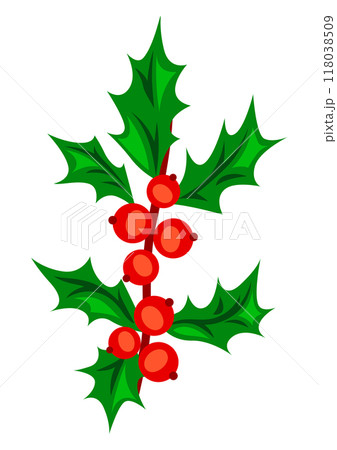 Illustration of holly branch. Merry Christmas and Happy New Year plant. Illustration of holly branch. Merry Christmas and Happy New Year plant. 118038509