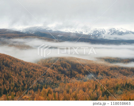 Landscape with beautiful snow mountains and forests Landscape with beautiful snow mountains and forests 118038663