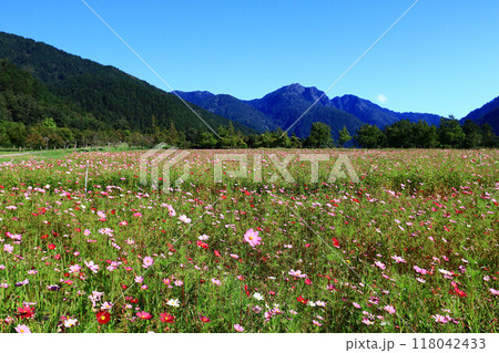 植物 工場 プランツ 118042433