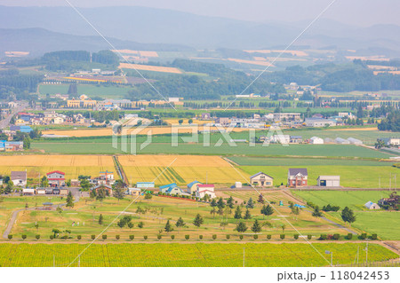 夏の北海道 上富良野町 日の出公園からの眺望 夏の北海道 上富良野町 日の出公園からの眺望 118042453