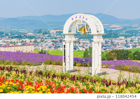 夏の北海道　上富良野町　日の出公園 118042454