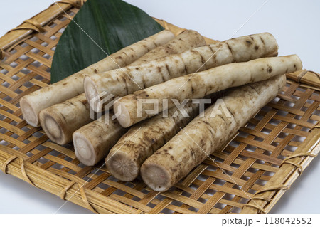 カットした新鮮で美味しい牛蒡 118042552