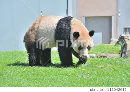 おやつをゲットした明浜 118042611